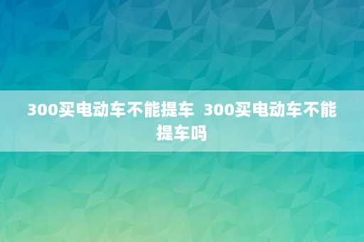 300买电动车不能提车  300买电动车不能提车吗