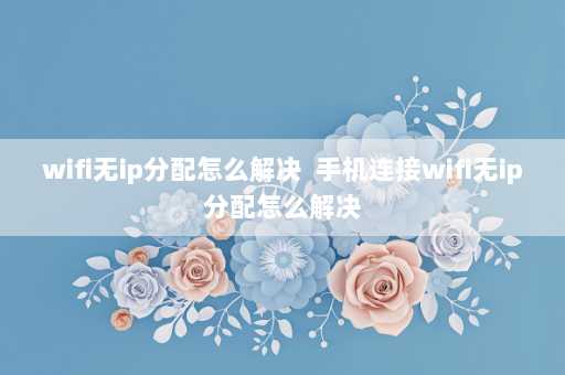 wifi无ip分配怎么解决  手机连接wifi无ip分配怎么解决