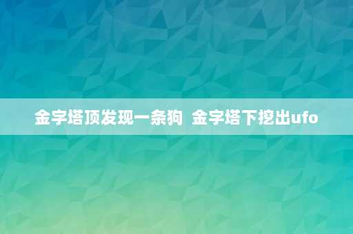 金字塔顶发现一条狗  金字塔下挖出ufo