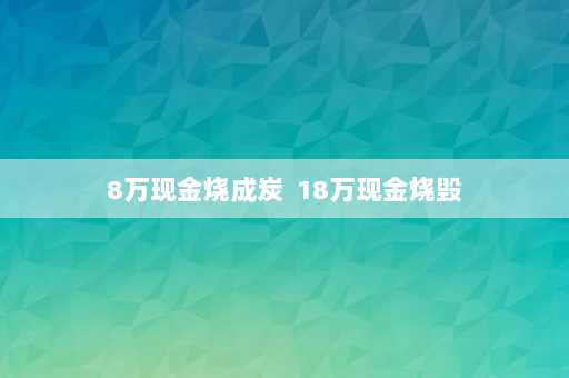 8万现金烧成炭  18万现金烧毁