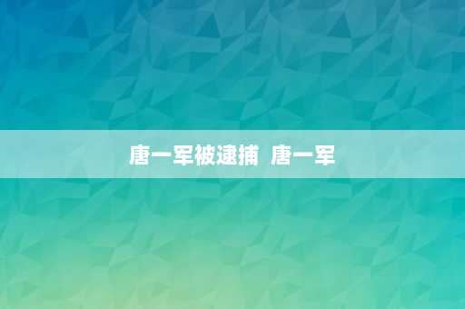 唐一军被逮捕  唐一军