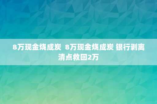 8万现金烧成炭  8万现金烧成炭 银行剥离清点救回2万