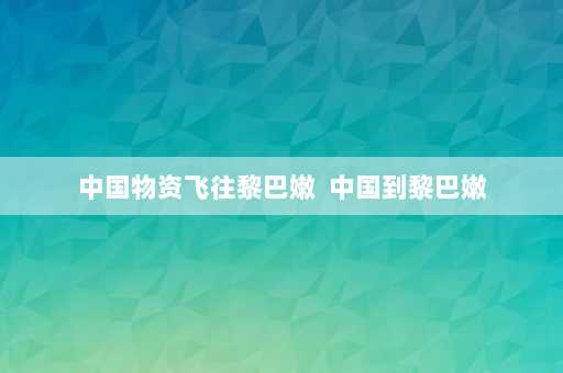 中国物资飞往黎巴嫩  中国到黎巴嫩