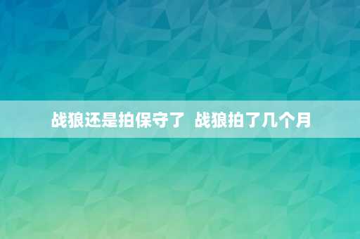 战狼还是拍保守了  战狼拍了几个月