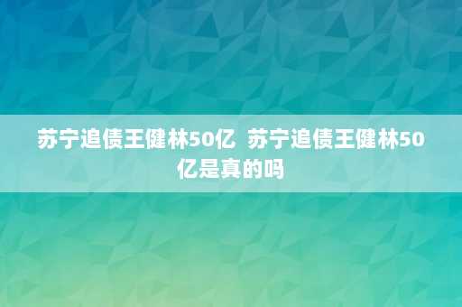 苏宁追债王健林50亿  苏宁追债王健林50亿是真的吗