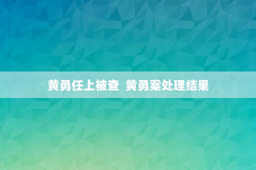 黄勇任上被查  黄勇案处理结果