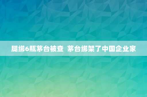 腿绑6瓶茅台被查  茅台绑架了中国企业家