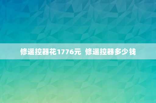 修遥控器花1776元  修遥控器多少钱