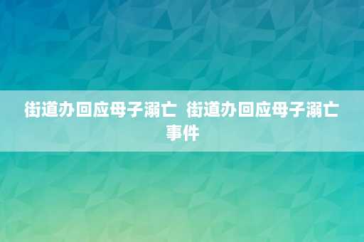 街道办回应母子溺亡  街道办回应母子溺亡事件