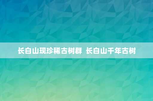 长白山现珍稀古树群  长白山千年古树