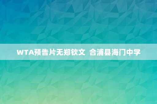 WTA预告片无郑钦文  合浦县海门中学