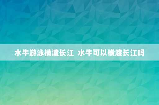 水牛游泳横渡长江  水牛可以横渡长江吗