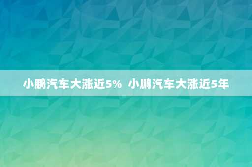 小鹏汽车大涨近5%  小鹏汽车大涨近5年