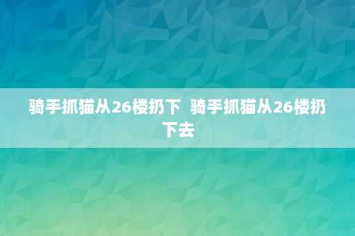 骑手抓猫从26楼扔下  骑手抓猫从26楼扔下去