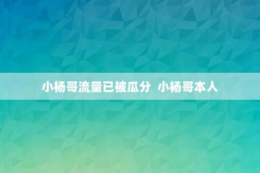 小杨哥流量已被瓜分  小杨哥本人