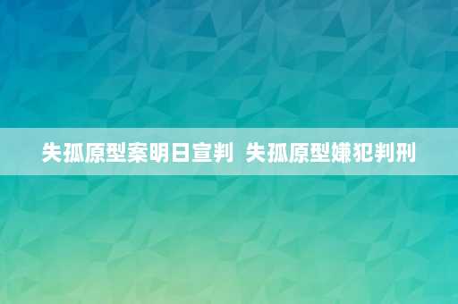 失孤原型案明日宣判  失孤原型嫌犯判刑