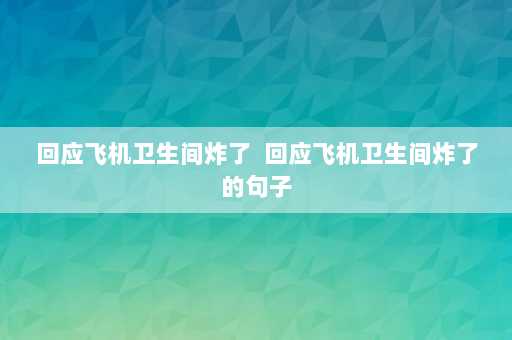 回应飞机卫生间炸了  回应飞机卫生间炸了的句子