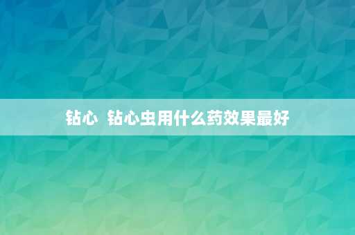 钻心  钻心虫用什么药效果最好