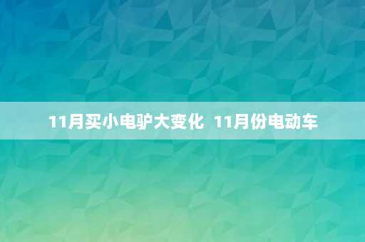 11月买小电驴大变化  11月份电动车