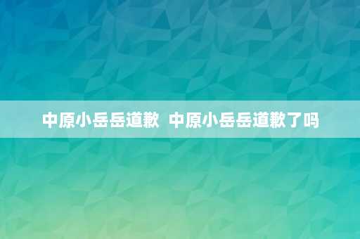 中原小岳岳道歉  中原小岳岳道歉了吗