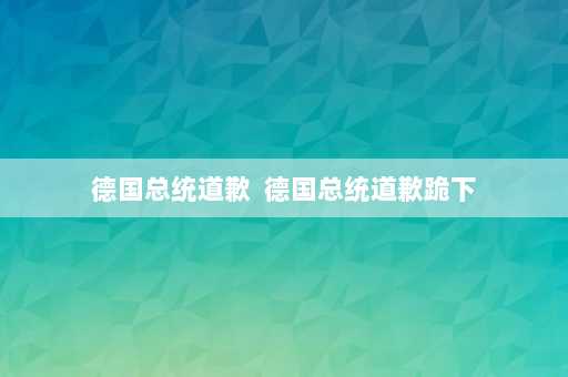 德国总统道歉  德国总统道歉跪下