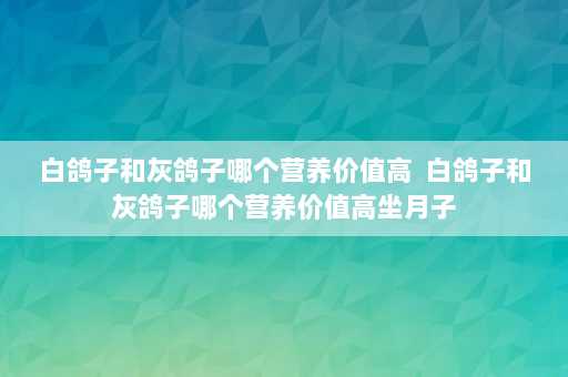 白鸽子和灰鸽子哪个营养价值高  白鸽子和灰鸽子哪个营养价值高坐月子