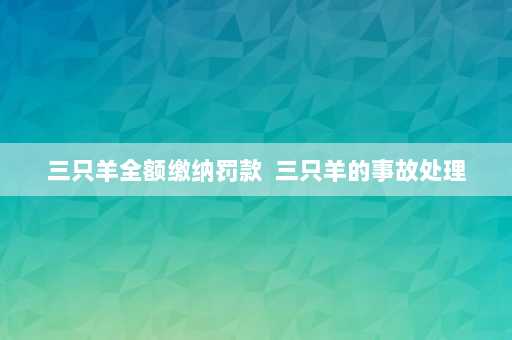 三只羊全额缴纳罚款  三只羊的事故处理