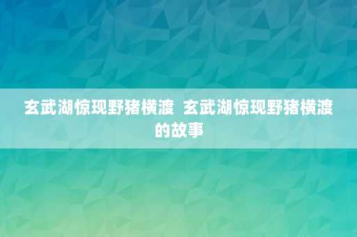 玄武湖惊现野猪横渡  玄武湖惊现野猪横渡的故事