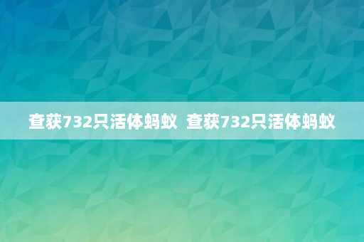 查获732只活体蚂蚁  查获732只活体蚂蚁