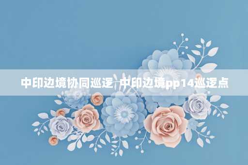 中印边境协同巡逻  中印边境pp14巡逻点