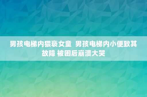 男孩电梯内猥亵女童  男孩电梯内小便致其故障 被困后崩溃大哭