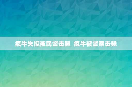 疯牛失控被民警击毙  疯牛被警察击毙