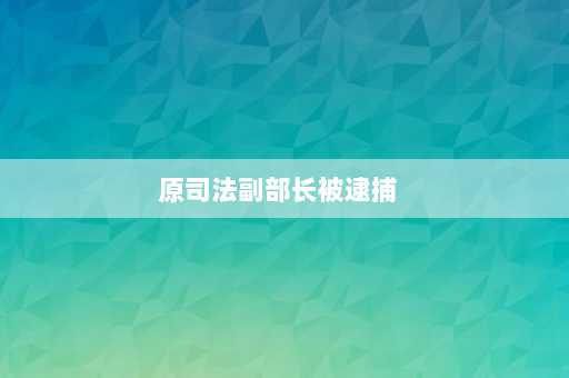 原司法副部长被逮捕  