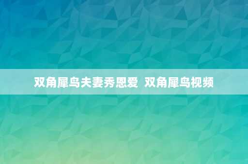 双角犀鸟夫妻秀恩爱  双角犀鸟视频