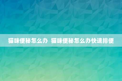 猫咪便秘怎么办  猫咪便秘怎么办快速排便