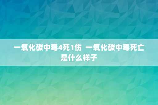 一氧化碳中毒4死1伤  一氧化碳中毒死亡是什么样子