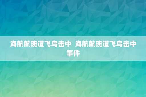 海航航班遭飞鸟击中  海航航班遭飞鸟击中事件