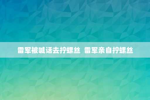 雷军被喊话去拧螺丝  雷军亲自拧螺丝