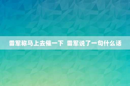 雷军称马上去催一下  雷军说了一句什么话