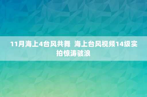 11月海上4台风共舞  海上台风视频14级实拍惊涛骇浪