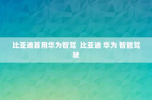 比亚迪首用华为智驾  比亚迪 华为 智能驾驶