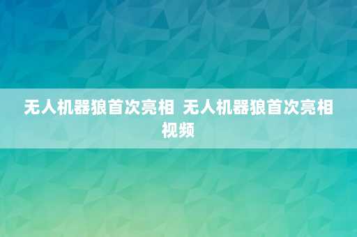 无人机器狼首次亮相  无人机器狼首次亮相视频