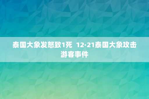 泰国大象发怒致1死  12·21泰国大象攻击游客事件