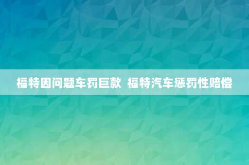 福特因问题车罚巨款  福特汽车惩罚性赔偿