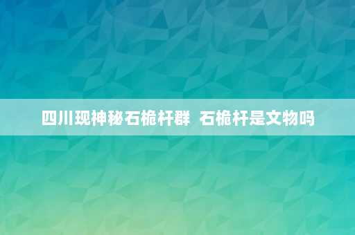 四川现神秘石桅杆群  石桅杆是文物吗