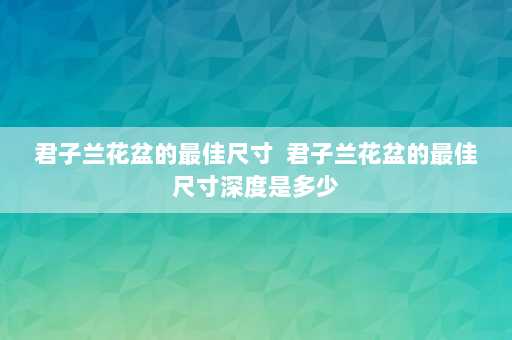 君子兰花盆的最佳尺寸  君子兰花盆的最佳尺寸深度是多少