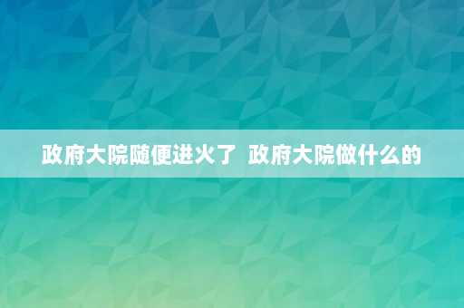 政府大院随便进火了  政府大院做什么的