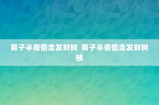 男子半夜偷走发财树  男子半夜偷走发财树枝