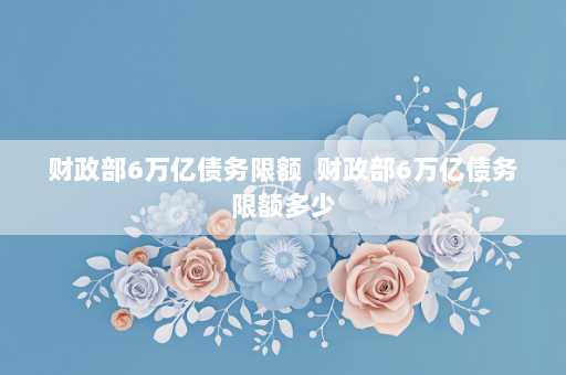 财政部6万亿债务限额  财政部6万亿债务限额多少