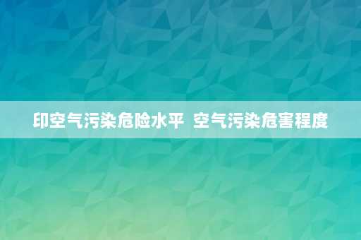 印空气污染危险水平  空气污染危害程度